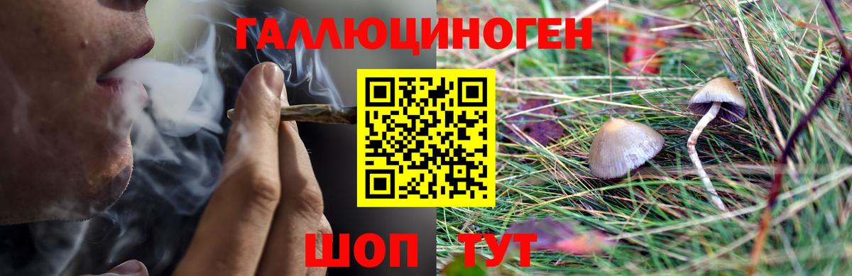 Псилоцибиновые грибы мухоморы Ярцево