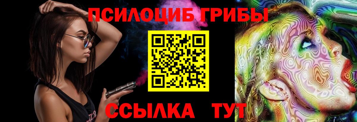 что такое наркотик  Вход с VPN  Ярцево  Галлюциногенные грибы Psilocybine cubensis 
